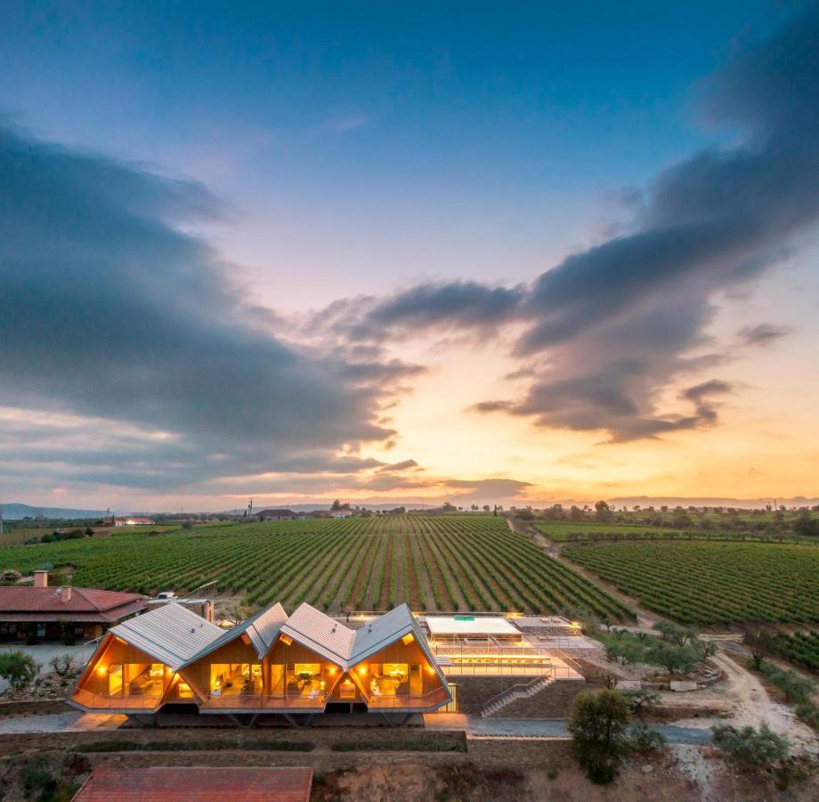 Villa Quinta Da Faisca - Agro Turismo Favaios Exterior foto